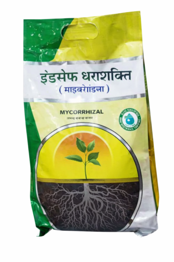 इंडसेफ धराशक्ति (माइकोराइजा)